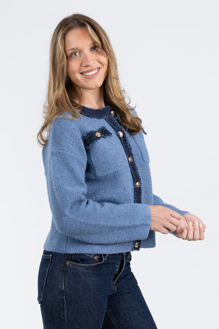 Blue Cardigan