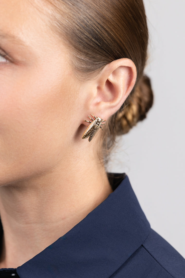 Cicada Stud Earrings