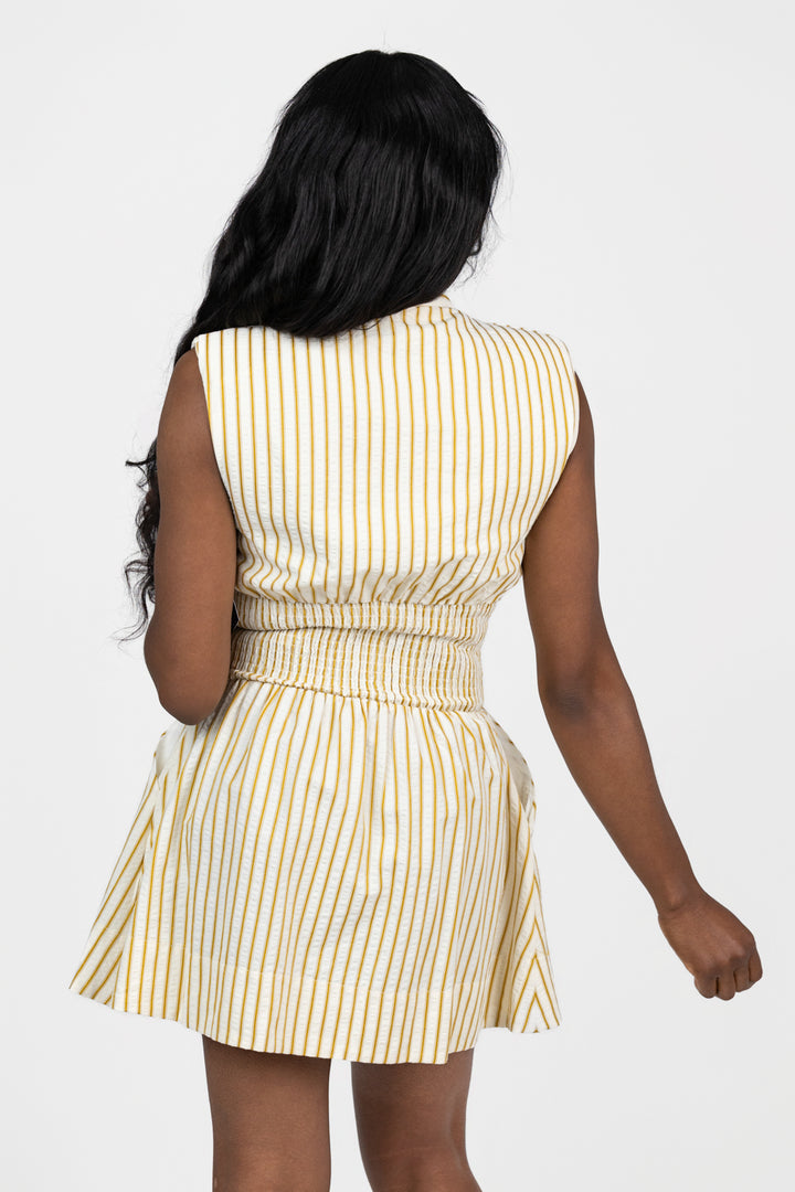 Citron Serene Stripe Mini Dress