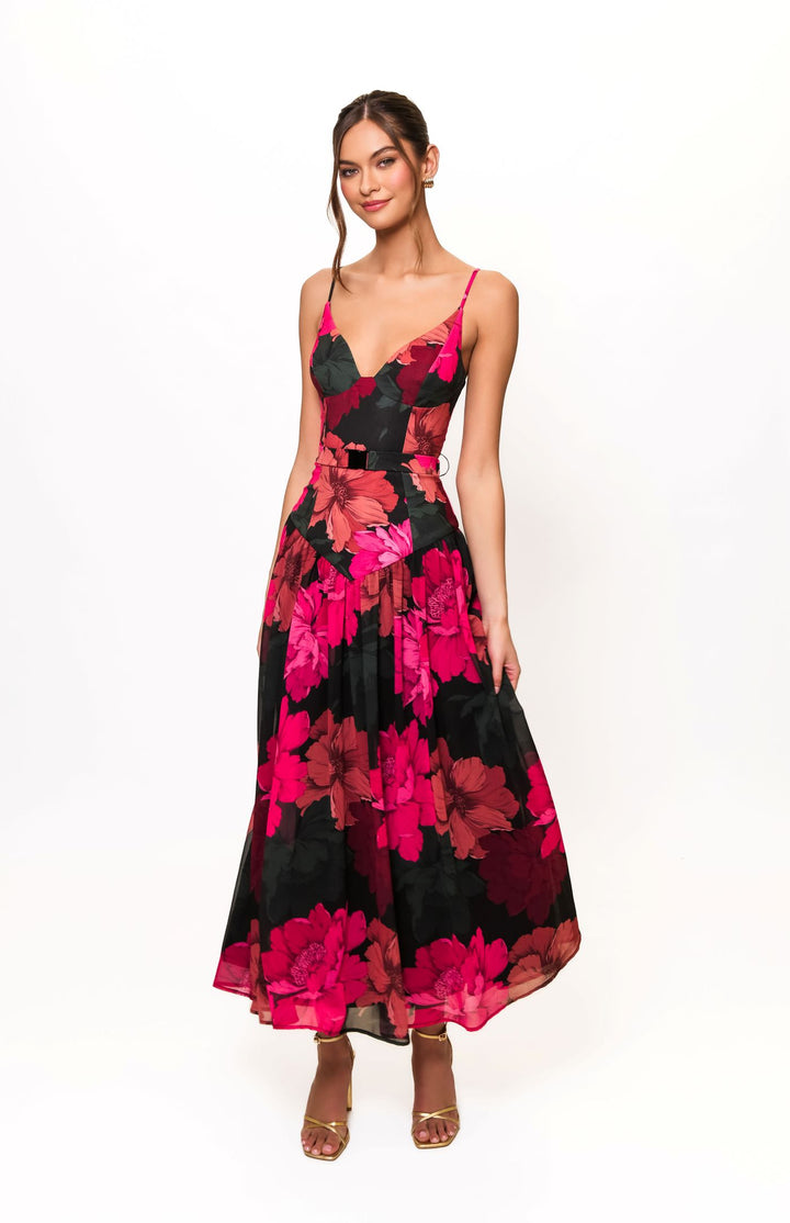 Fuchsia Multi Ruby Dress