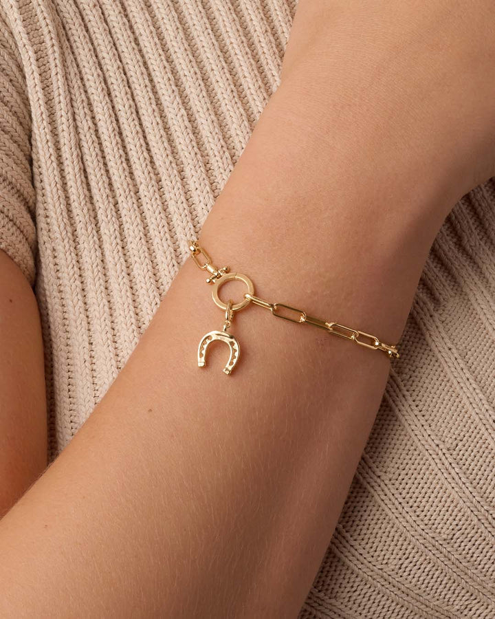 Gold Horseshoe Parker Charm