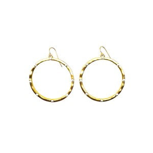 Gold Silver Dots Nyla Earrings