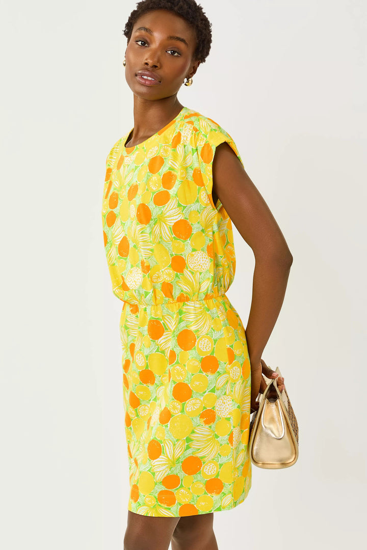 Island Palm Zesty Melli Dress