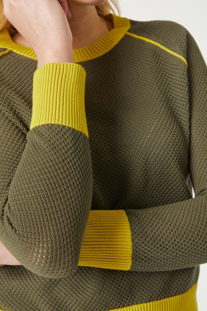 Olive Green And Mustard Mesh Sweater