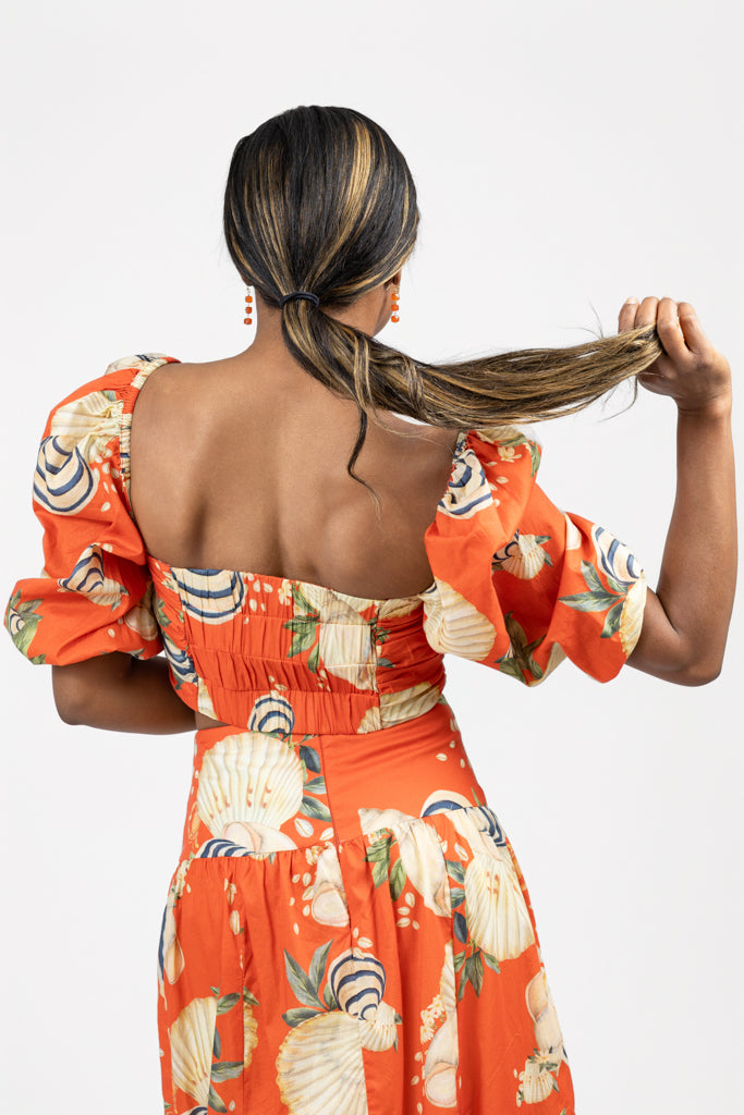 Orange And Sea Shell Print Cropped Top