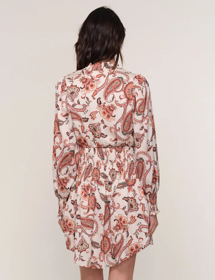Paisley Erika Dress