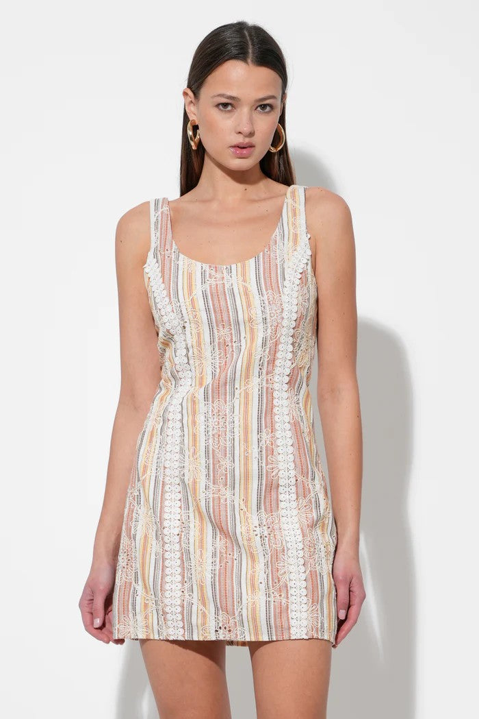 Rust Multi Embroidered Jace Mini Dress