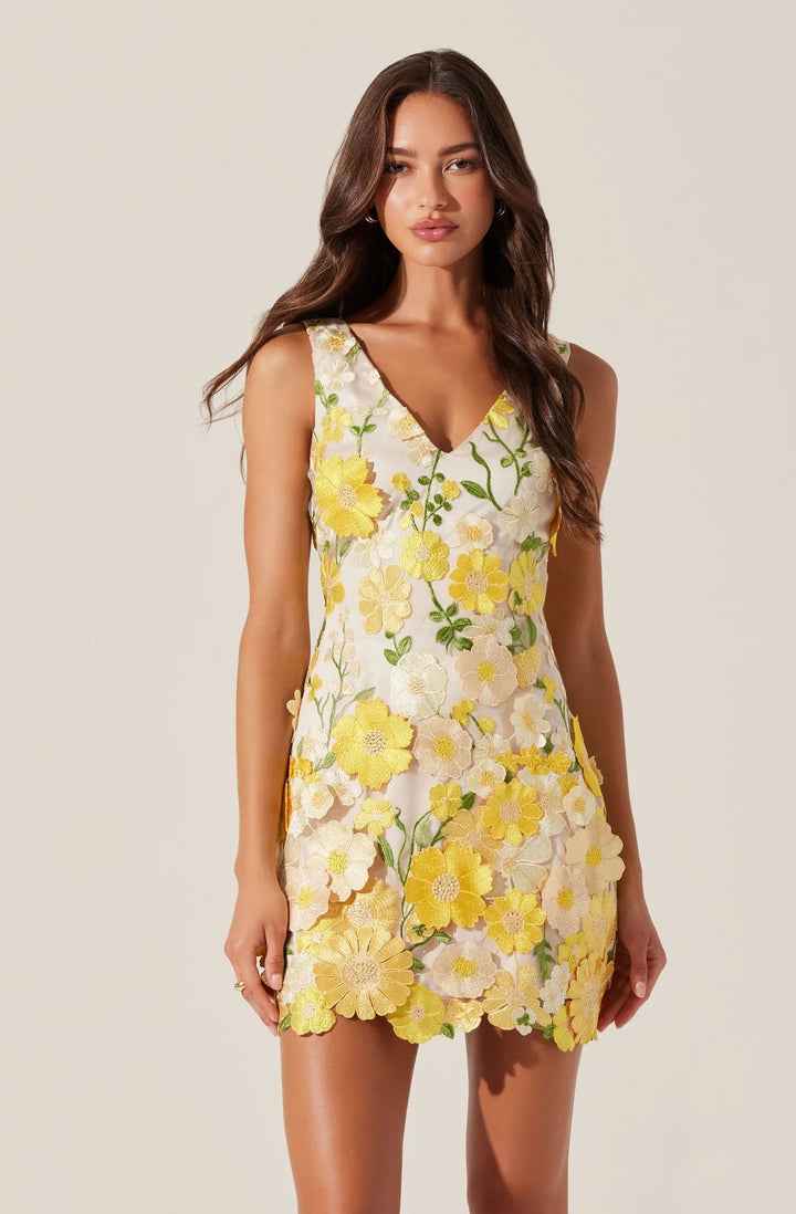 Yellow Floral Applique Sleeveless Aisha Dress