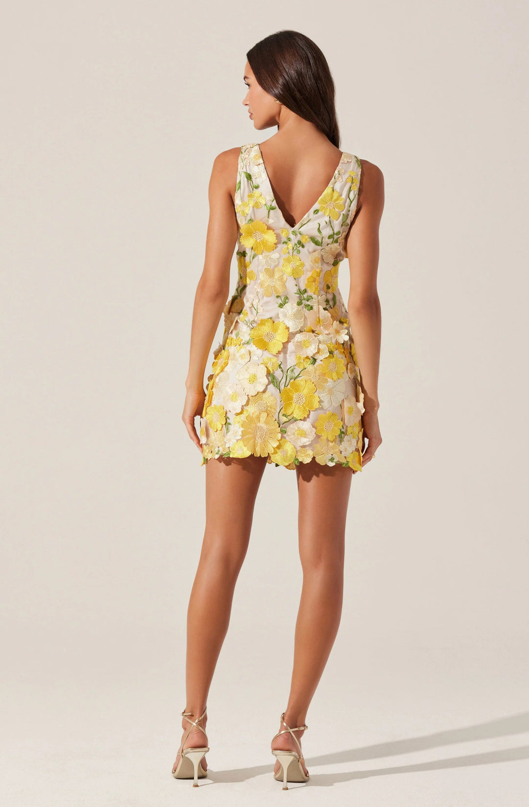 Yellow Floral Applique Sleeveless Aisha Dress