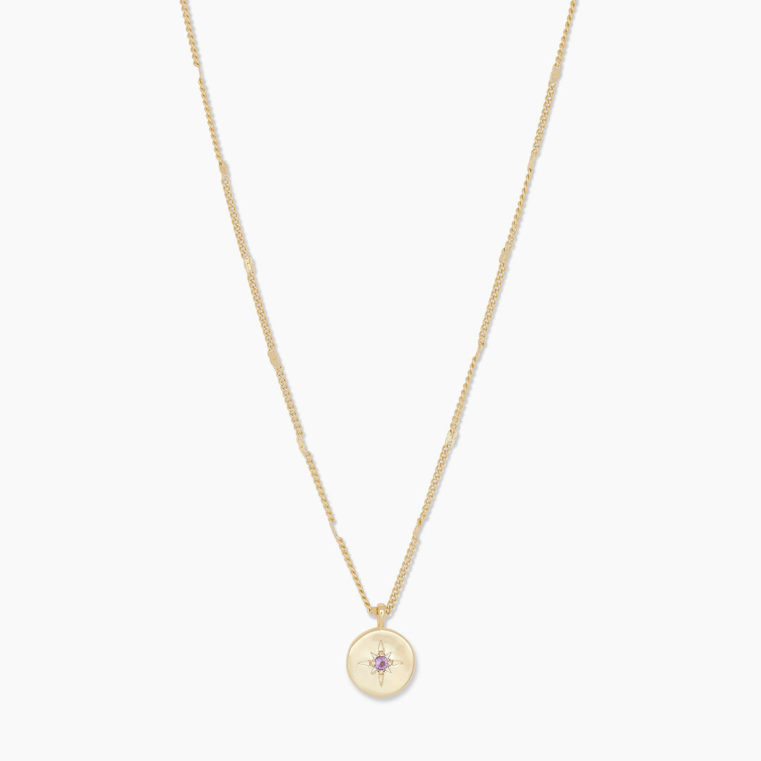 February Gold Amethyst Birthstone Coin Necklace